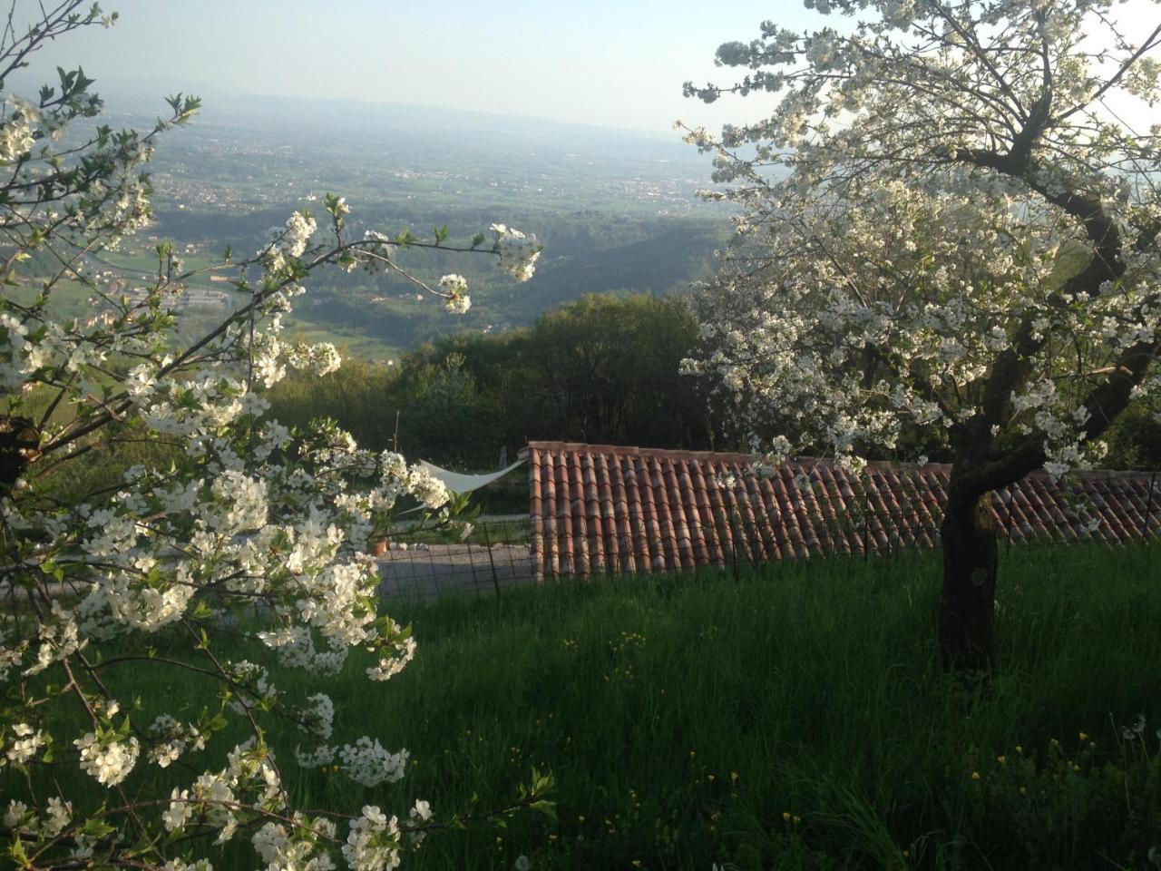 Calvenere Villa Exteriör bild